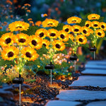 SunGlow Solar Sunflower Light