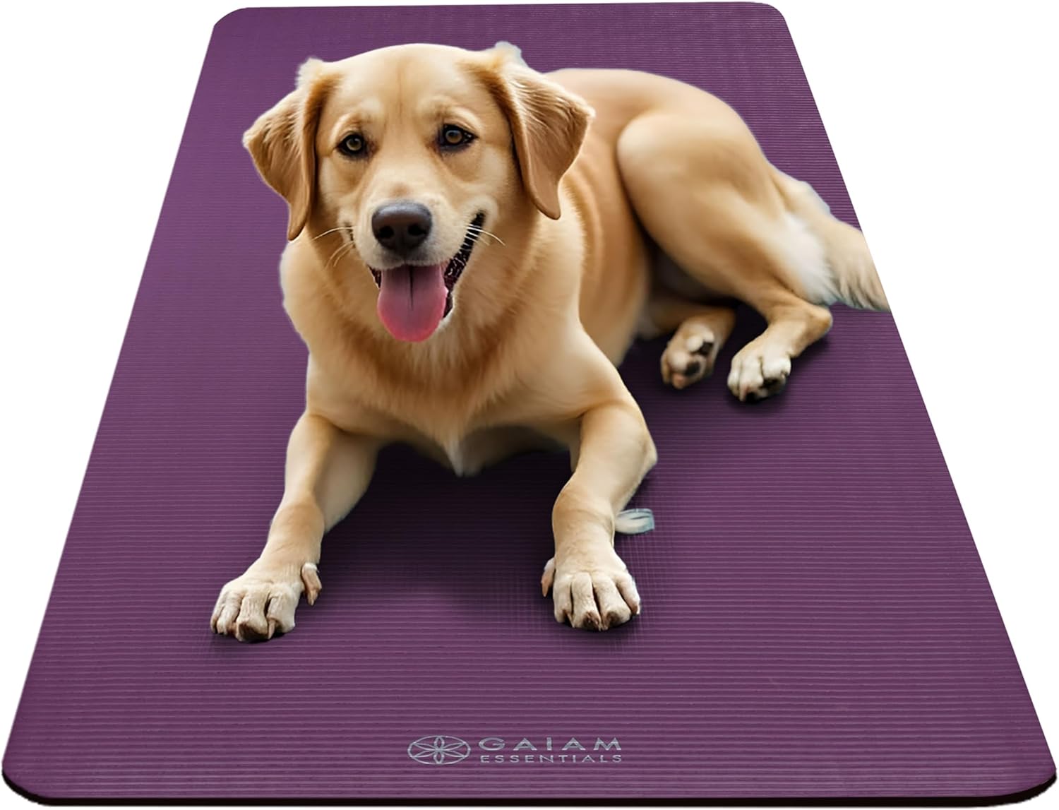 Gaiam Yoga Mat, Pilates & Exercise Mat, Thick Mat 2/5" (10mm) Workout Mat with Easy-Cinch Carrying Strap for Home & Gym Workouts
