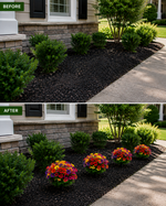 Turn Your Garden Into a Colorful Paradise