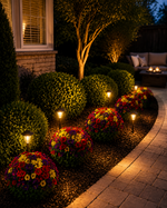 Turn Your Garden Into a Colorful Paradise