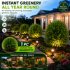 Large Size Artificial Cedar Landscape Tree - Porch & Garden Decor