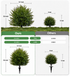 Large Size Artificial Cedar Landscape Tree - Porch & Garden Decor